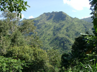 Schn   (36/127)