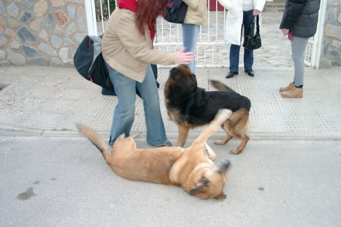 01290032_G.sized