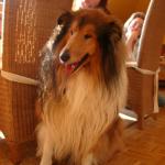03280021_G.sized
