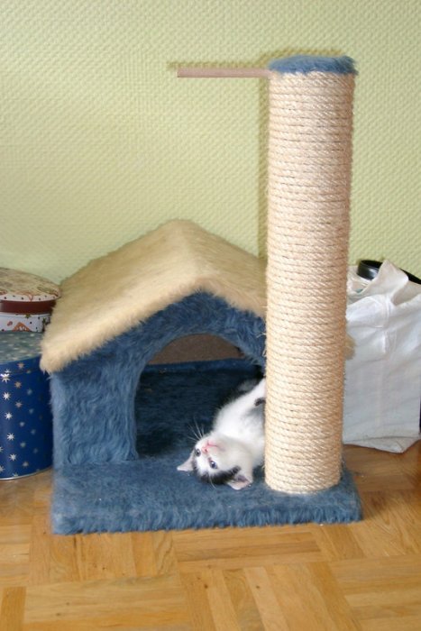 06270003_G.sized
