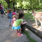 IMG_8557