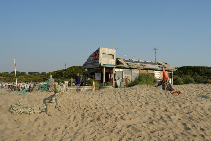DSC01584