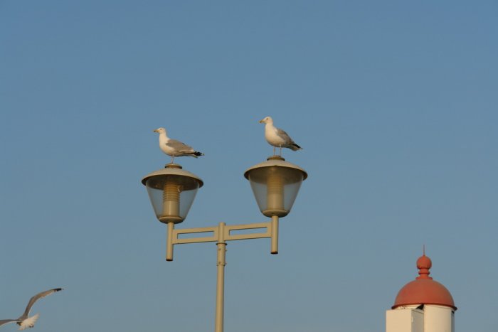 DSC01613