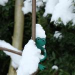 IMG_3298