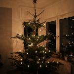 IMG_3153